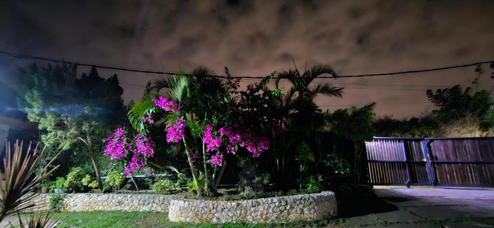 Villa Anjing Nusa Dua  Extérieur photo